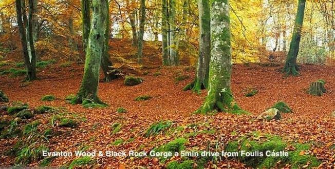 Foulis Castle Gate Lodge Evanton Esterno foto
